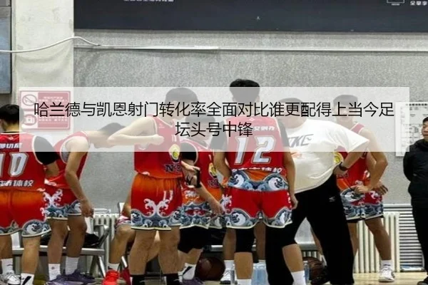 ha-lan-de-yu-kai-en-she-men-zhuan-hua-lv-quan-mian-dui-bi-shui-geng-pei-de-shang-dang-jin-zu-tan-tou-hao-zhong-feng-2-583.jpg