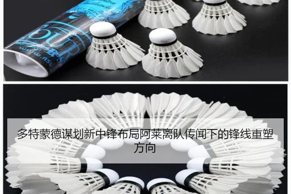 多特蒙德谋划新中锋布局阿莱离队传闻下的锋线重塑方向